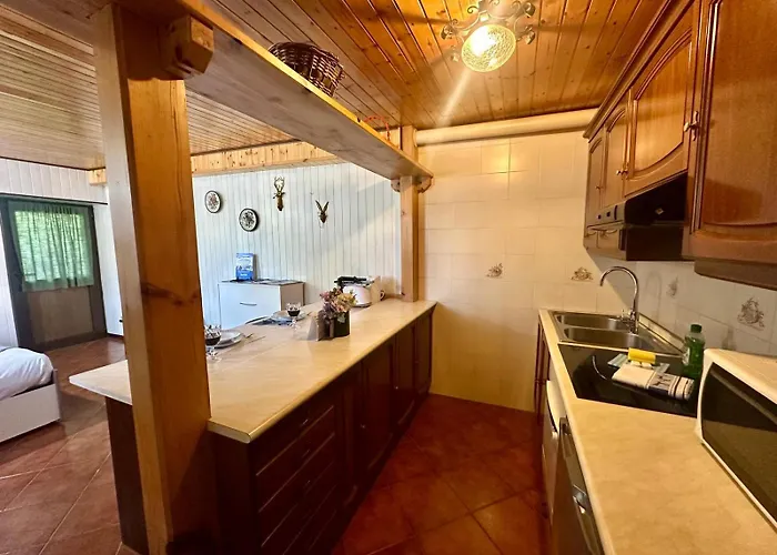 Mcx Vacation Rental- Le Petit Coeur Du Mont Fleury, Pet Friendly, Just 500 Meters From The Lifts ! * Valtournenche